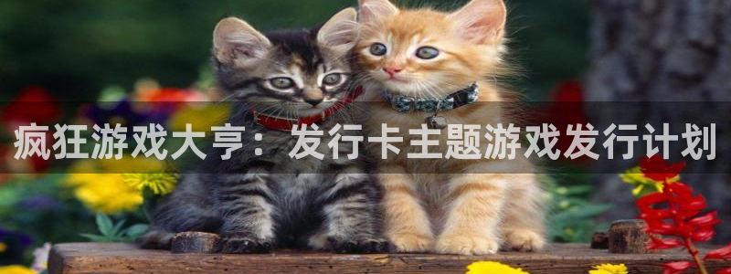 非凡游戏官网超纯啤酒怎么样：疯狂游戏大亨：发行卡主题游戏发行计划