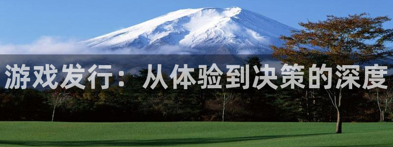 非凡游戏官网gs：游戏发行：从体验到决策的深度