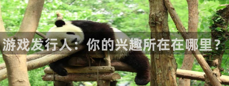 非凡游戏官网子文化创意有限公司