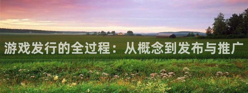 非凡游戏官网子股价：游戏发行的全过程：从概念到发布与推广