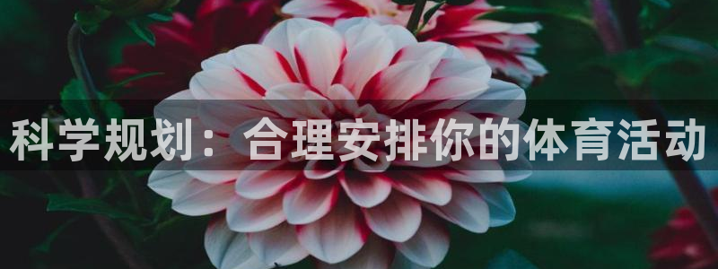 77体育官网