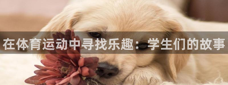 77体育官网