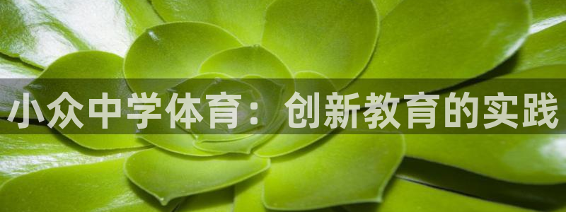 皇冠277体育：小众中学体育：创新教育的实践